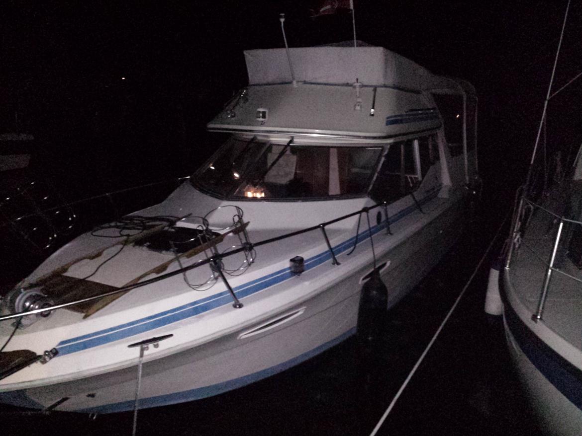 Sea Ray 245 Flybrige billede 7