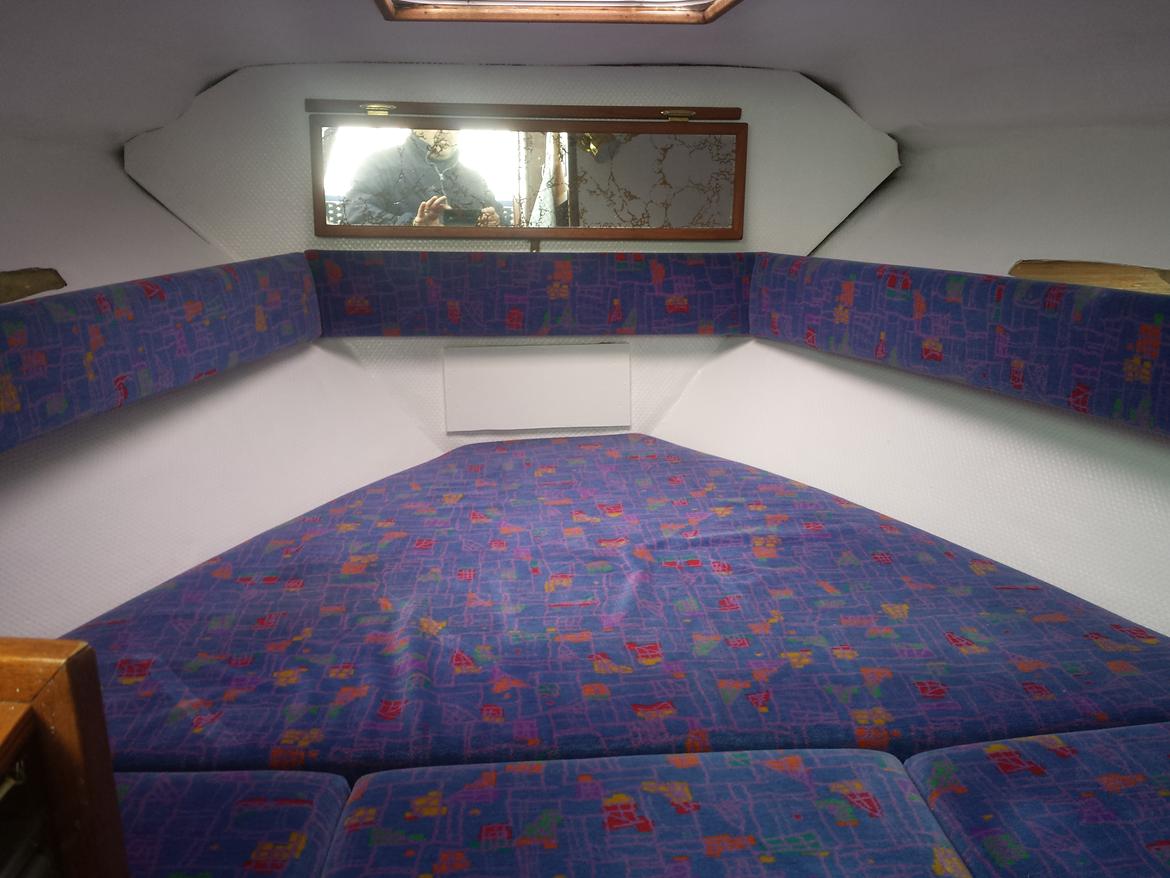 Sea Ray 245 Flybrige billede 12