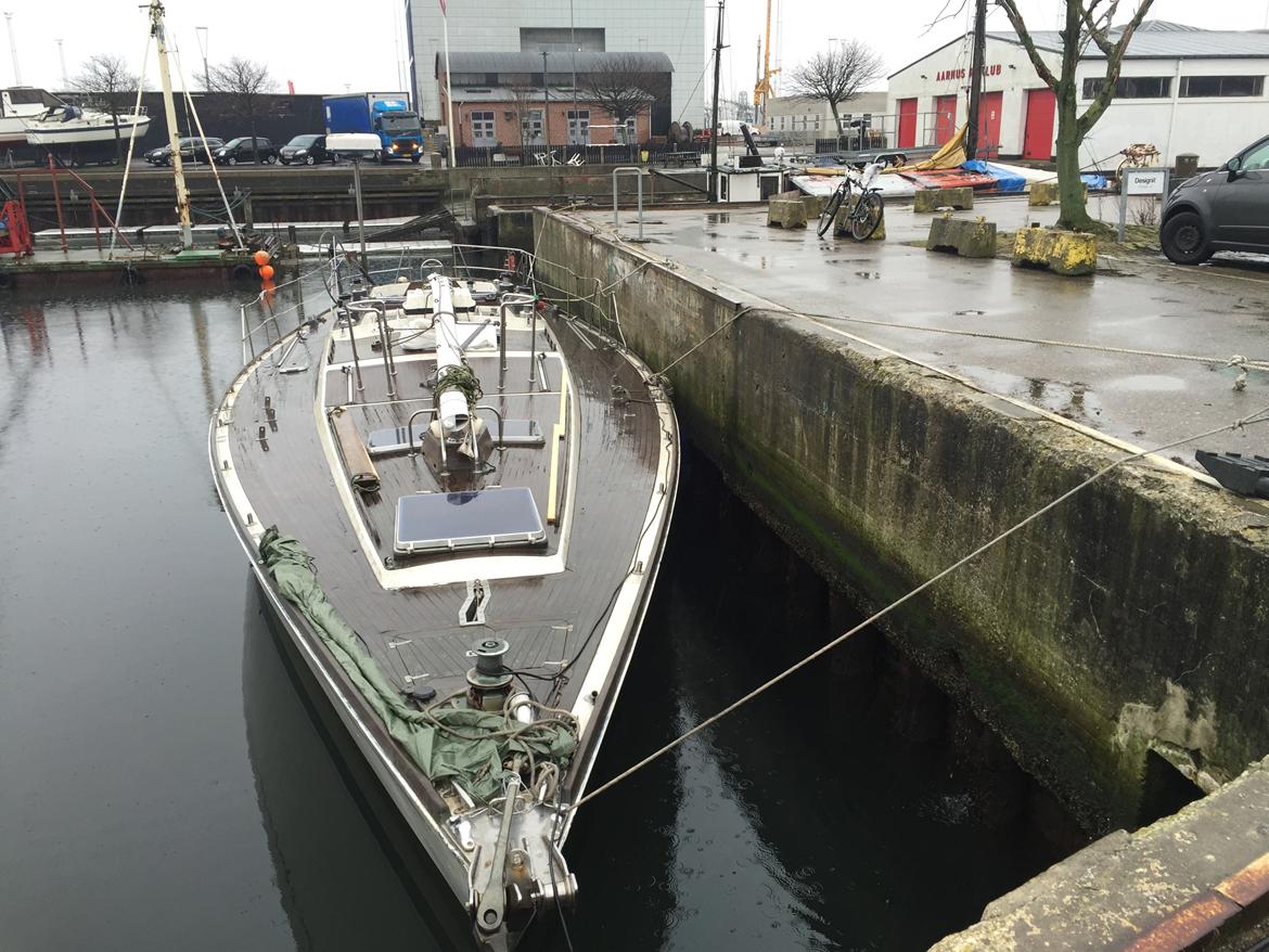 Swan Diana 56 (Swan kopi) billede 11