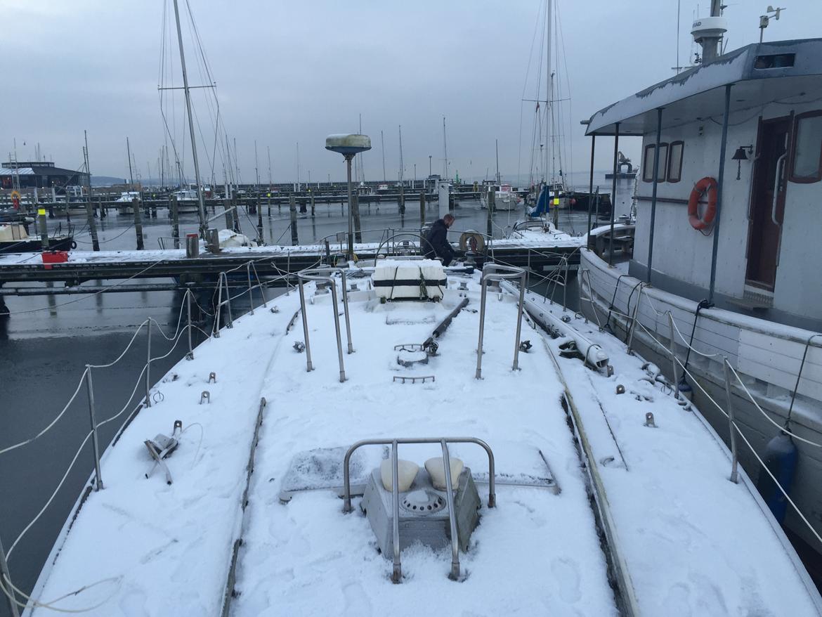 Swan Diana 56 (Swan kopi) - Som hun så ud aller første gang jeg så hende billede 12