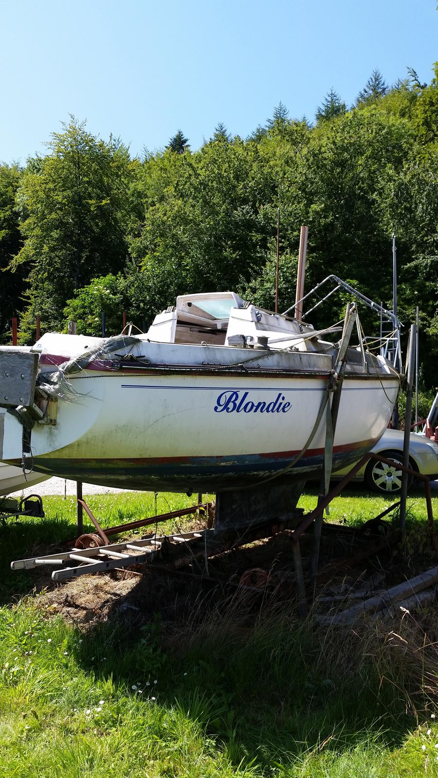 Edel 600  SOLGT billede 1