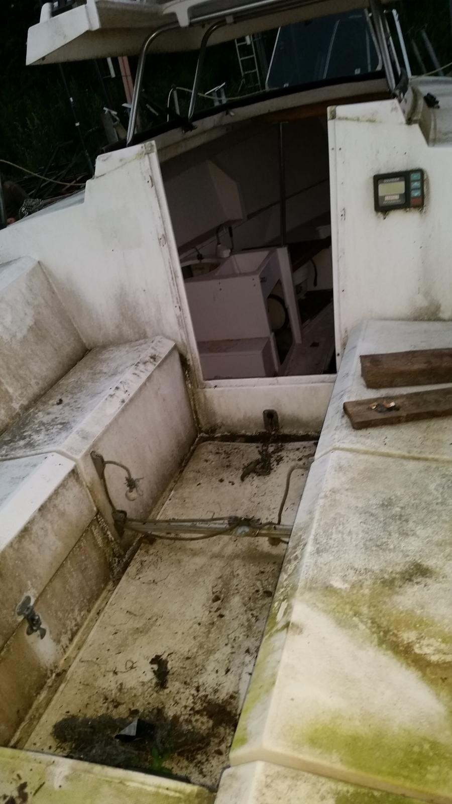 Edel 600  SOLGT billede 3