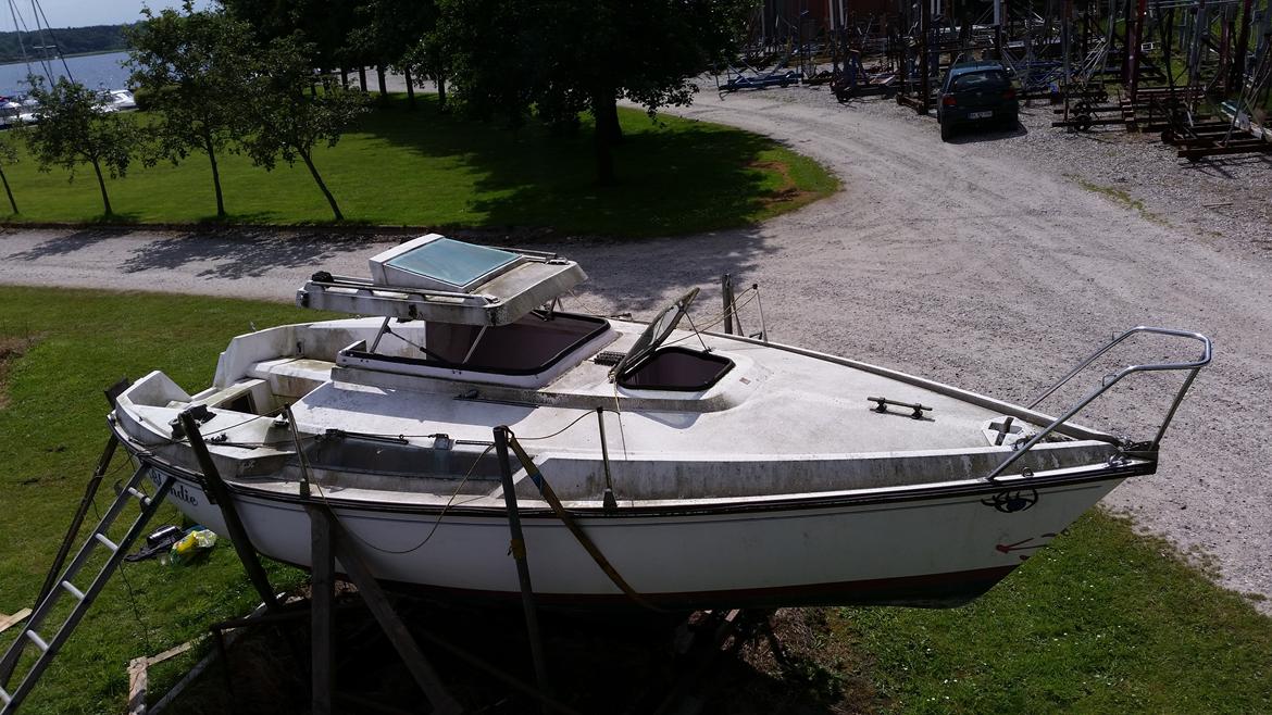 Edel 600  SOLGT billede 6