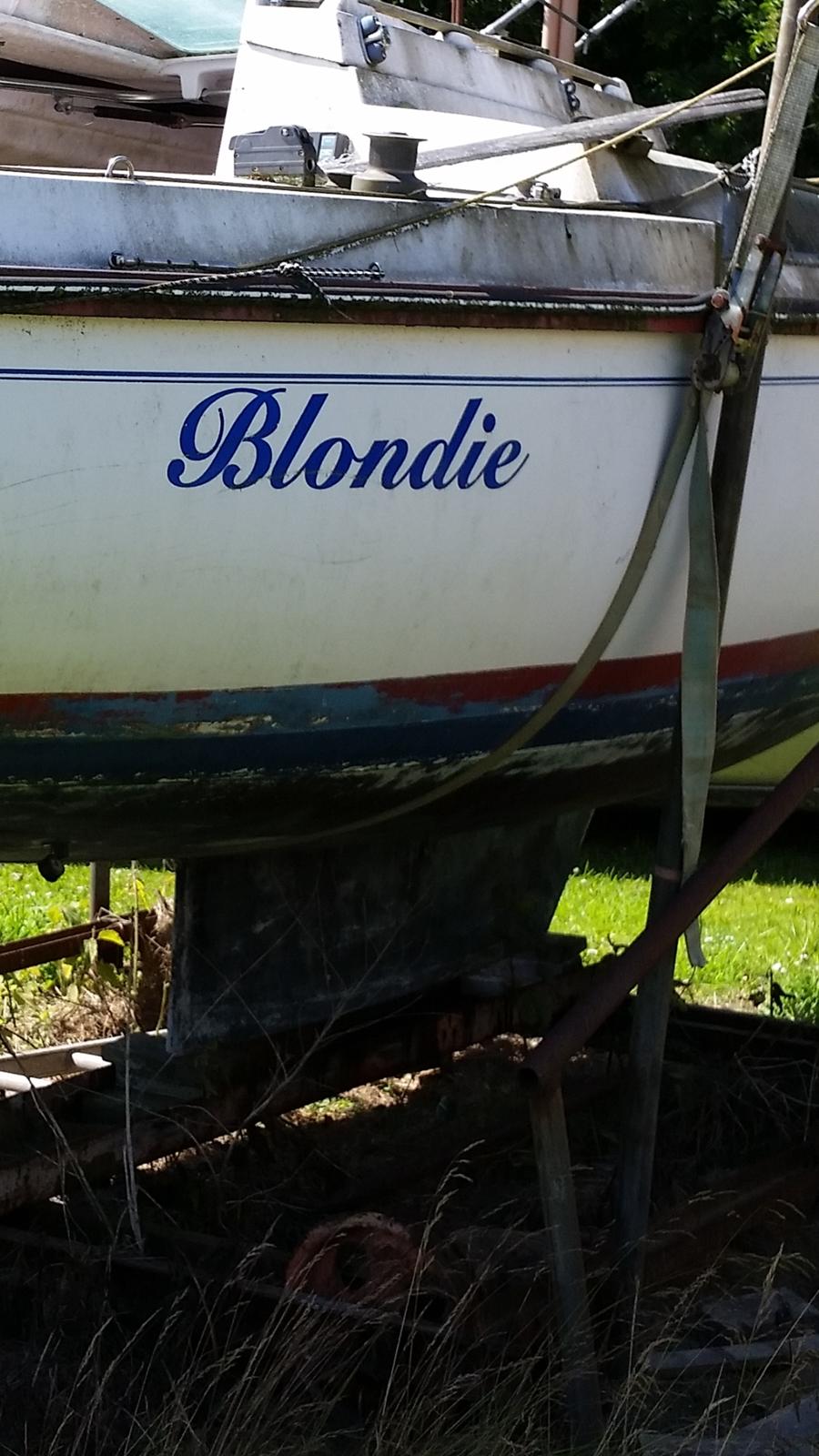 Edel 600  SOLGT billede 10