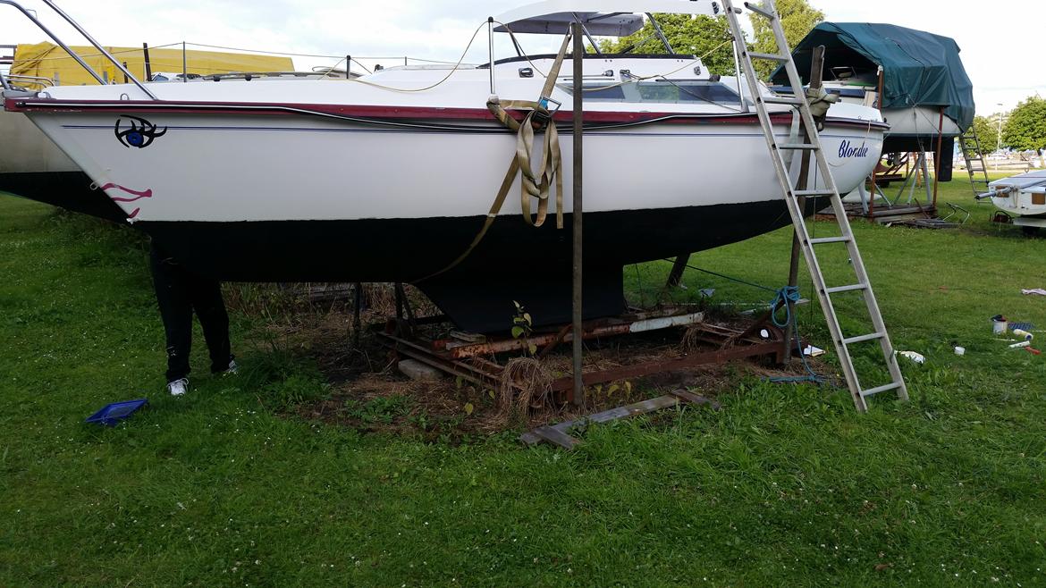 Edel 600  SOLGT billede 19