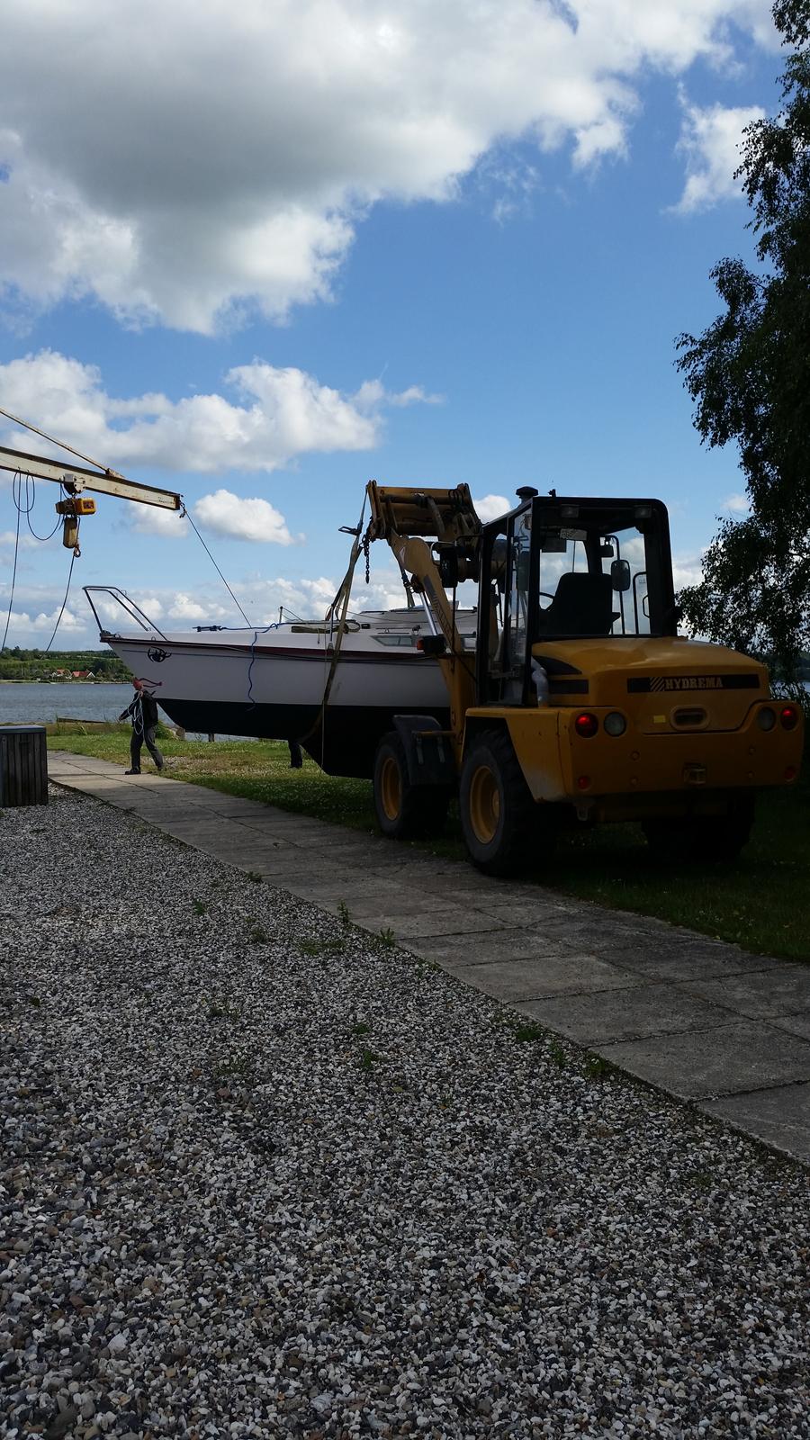 Edel 600  SOLGT billede 21