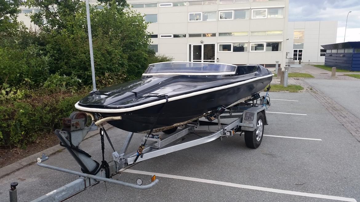 Shakespeare Wave Rider Mustang billede 6