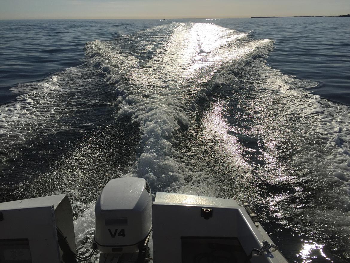 Banner 20 fod, total ombygget indvendig billede 4