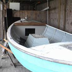 Damjolle ved det ikke helt(projekt