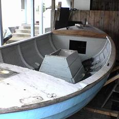 Damjolle ved det ikke helt(projekt