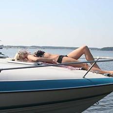 Wellcraft Wellcraft excell 20sl