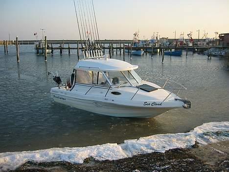 Cutter Profisher 182 HT - Sea Cloud´en fryser billede 2