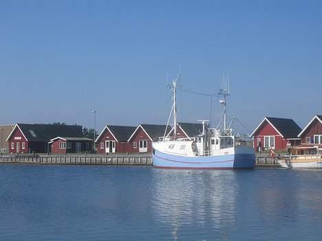 Ålbæk Fiske kutter - Nordstrand i Hou billede 4