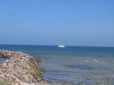 Ålbæk Fiske kutter - Nordstrand på vej ind i Hou billede 5