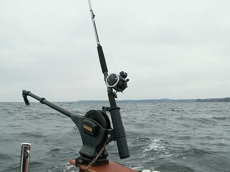 Marina waverider billede 6