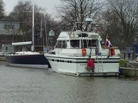 X Pfeil42 - Os i DE. billede 2