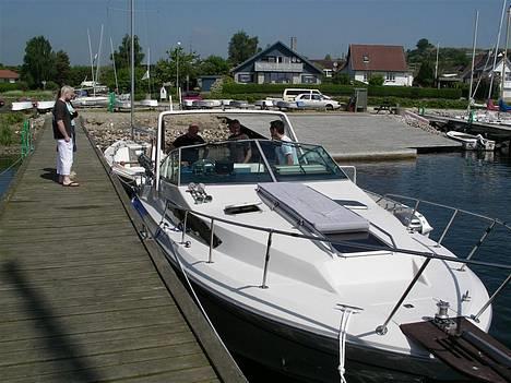 Sea Ray 270 Sundancer (SKÆRBÆK)[SOLGT] - før afgang til rock under broen billede 7