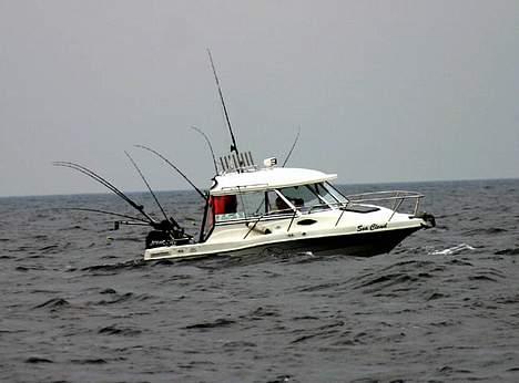 Cutter Profisher 182 HT - Sea Cloud på Bornholm 06 billede 13