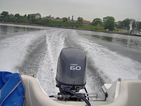 Campion Allante 485 billede 2