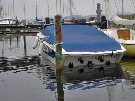 Campion Allante 485 billede 5