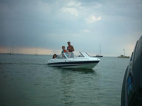 Campion Allante 485 billede 8