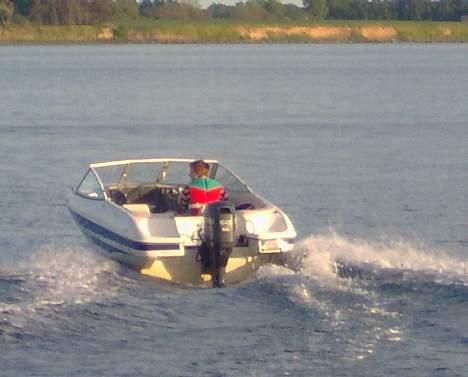 Campion Allante 485 billede 12