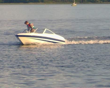 Campion Allante 485 billede 14