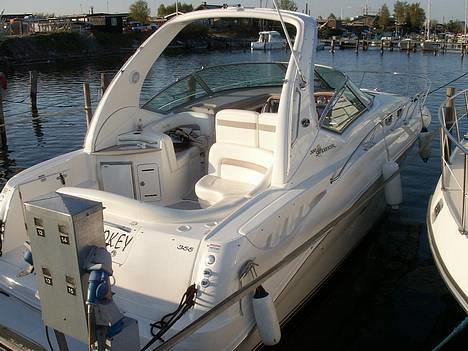 Sea Ray 355 Sundancer billede 1
