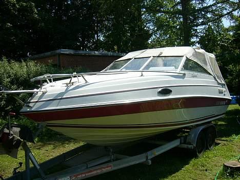 Four Winns 195 freedom - Hjemme i haven billede 5