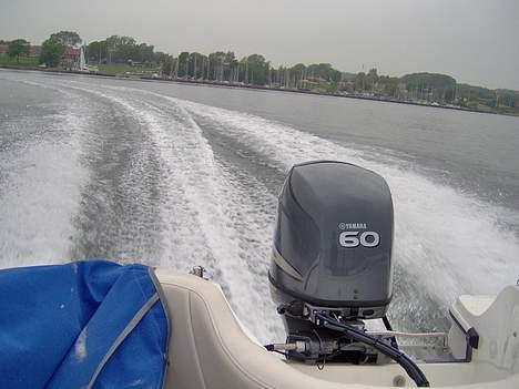 Campion Allante 485 billede 20