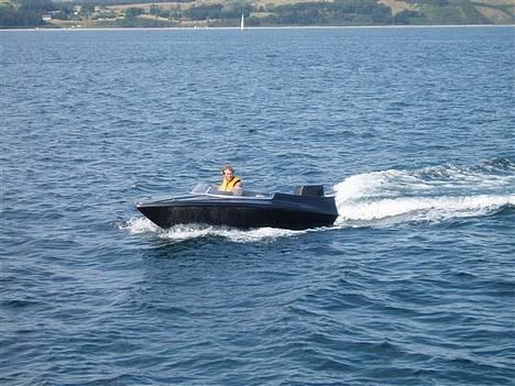 Mustang Shakespeare SOLGT billede 7