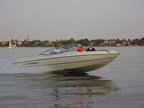 Stingray 190 FX - Taget i middelfart / lillebælt. billede 1