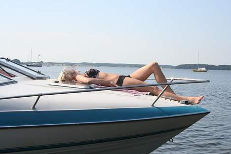 Wellcraft Wellcraft excell 20sl billede 3