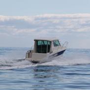 Ocqueteau 815