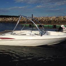 Wellcraft excel 19 sx