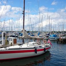 H Helmsman 31