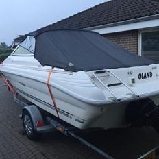 Sea Ray 200 OV