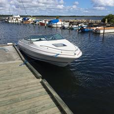 Sea Ray 200 OV 