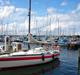 H Helmsman 31