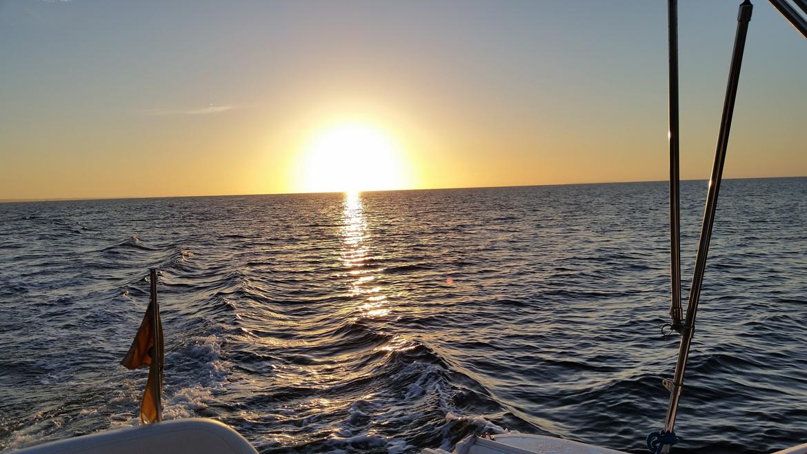 Four Winns 248 Vista billede 15