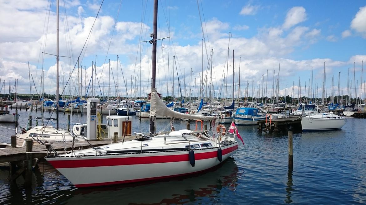 H Helmsman 31 billede 1