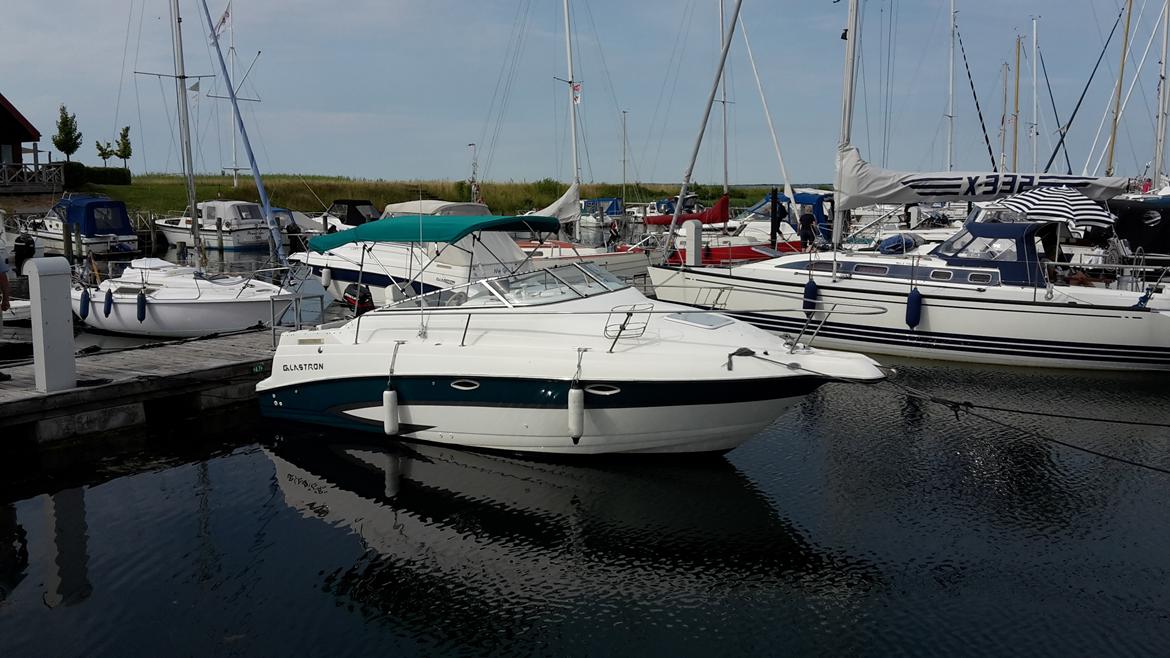 Glastron GS 249 billede 6