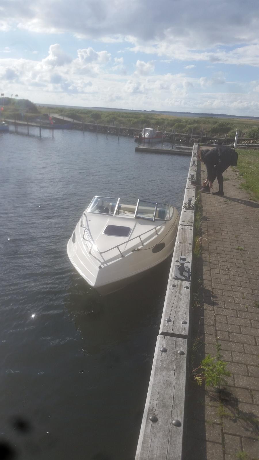 X SeaPro Citation 196CC Royal - Søndags tur - Venø Havn billede 7