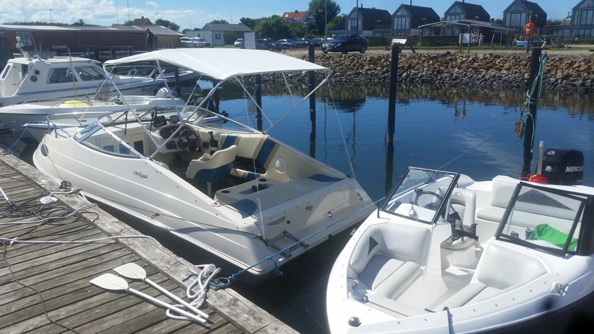 X SeaPro Citation 196CC Royal - På tur Jegindø Havn 2016 billede 2