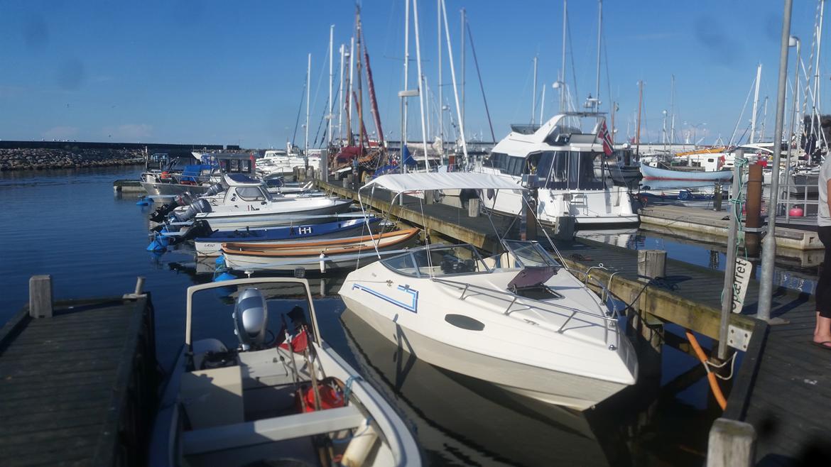 X SeaPro Citation 196CC Royal - Ferie 2016 - Læsø (Østerby Havn) billede 10