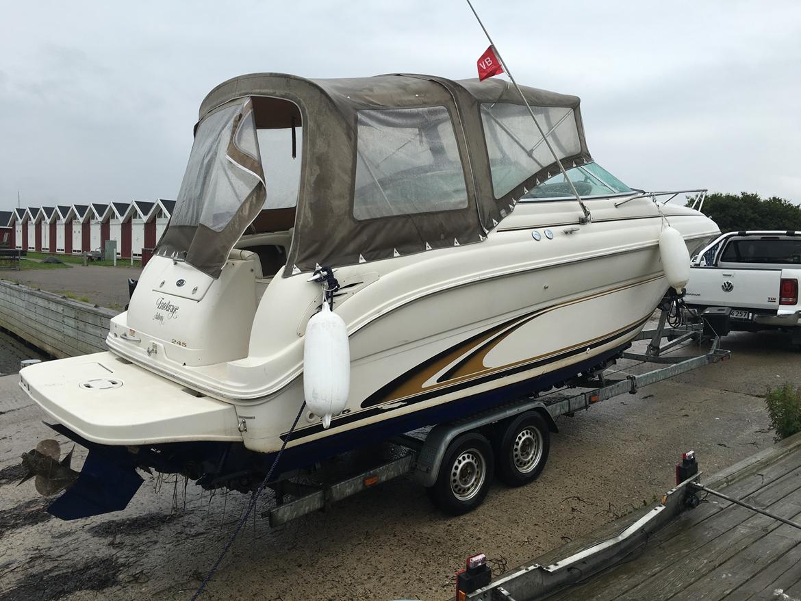 Sea Ray 245 Weekender billede 6