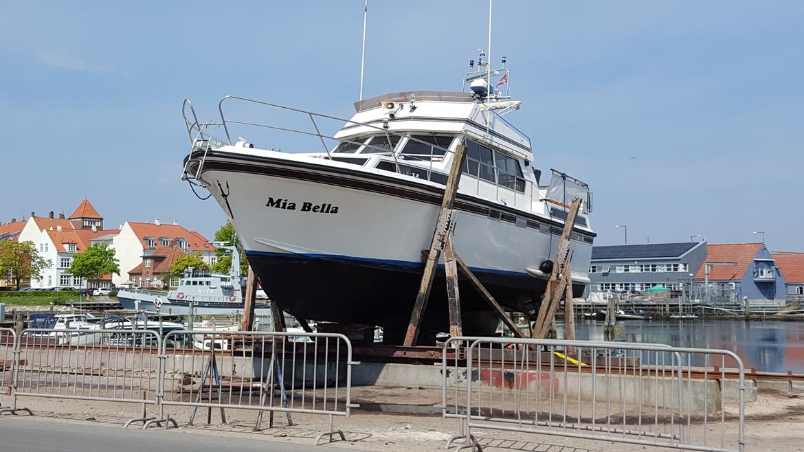 Neptunus 131 billede 1