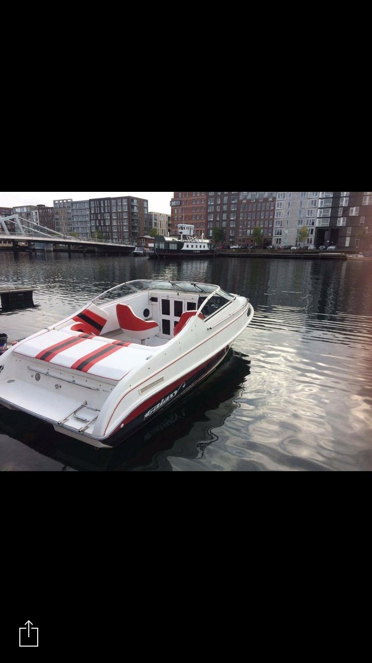 Galaxy 215 Daycruiser Cuddy billede 4