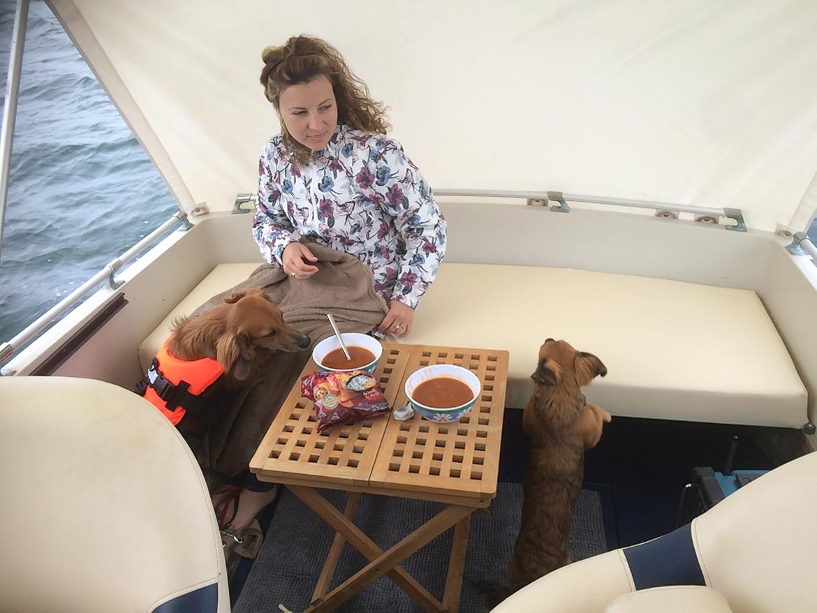 Fjord 21 Holliday billede 46