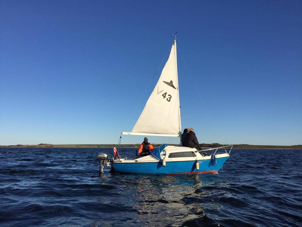 Pedro Pedro17 billede 1